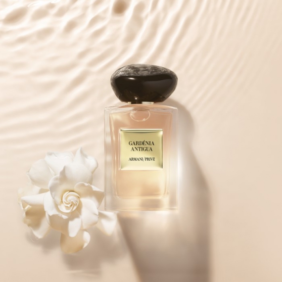 gardenia antigua armani